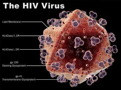 Какие существуют стадии ВИЧ-инфекции?