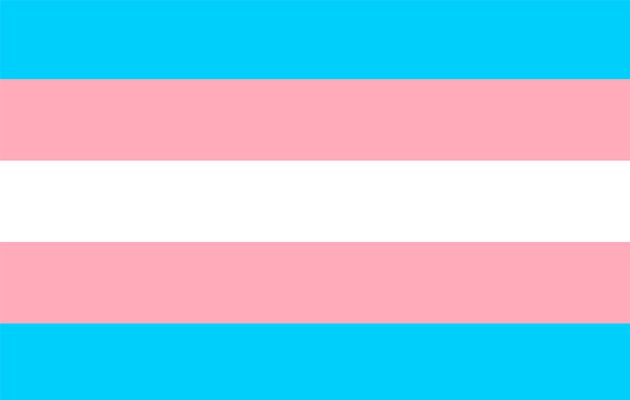 Гайд по флагам ЛГБТК+ сообщества