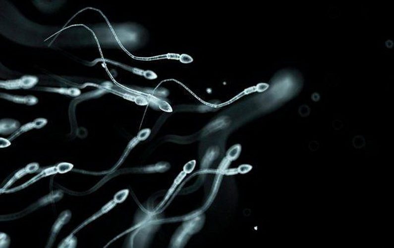 О сперме - вкусной и здоровой