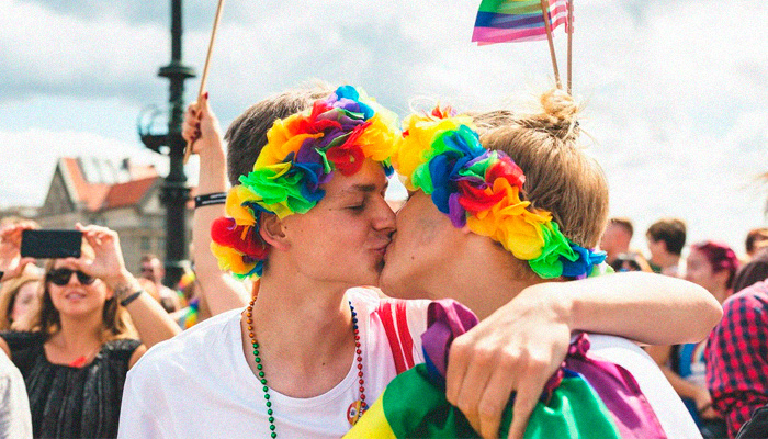 Чехия однополые браки